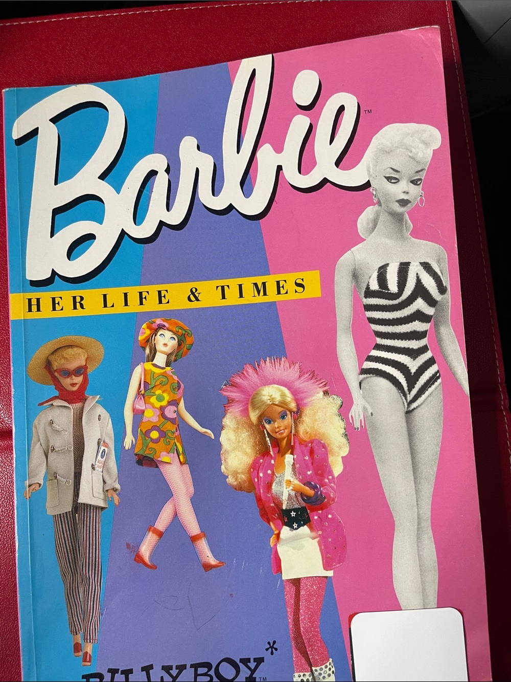 Barbie Book Cover in Pink, Blue and Purple by Barbie